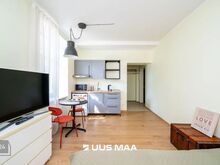 STUUDIOKORTER PELGULINNAS! RENOVEERITUD MAJA JA KORTER! KP 23.07
