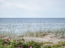 Kõrghaljastusega merelähedane kinnistu Laulasmaal