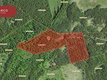 Müüa 13,5 ha metsamajanduslik kinnistu Saaremaal.
