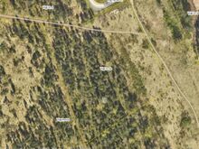 Männimetsakrunt 1,1ha Kohilas, Viigi Tänav 4a