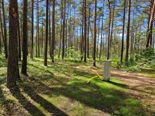 METSAGA ÜMBRITSETUD PRIVAATNE ELAMUMAA NÕMMEL
