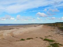 Liivarand