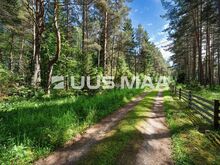 Merelähedane elamumaa kinnistu Läänemaal!