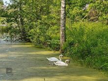 Müüa ajalooline saunahoone! Ostjale kaasa aerupaat