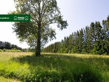 Müüa suur, hoonestamata kinnistu Noarootsi poolsaarel