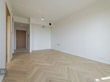 Metsvaated ja looduse rahu üheskoos!