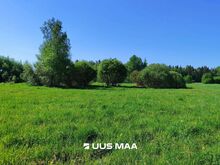 Kaks kinnistut ühes pakkumuses, nii metsa- kui rohumaa