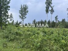 Suur projekteerimistingimustega kinnistu kodu rajamiseks!