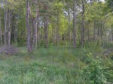 3 Privaatset kinnisstut linnalähedal.