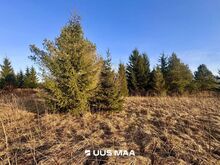 Suur kinnistu Kohila vallas, geoalus müüja poolt!