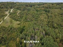 Müüa 6,9 ha metsakinnistu Letipea külas / Metsamajandamiskava!