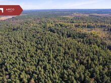 Müüa 13,5 ha metsamajanduslik kinnistu Saaremaal.