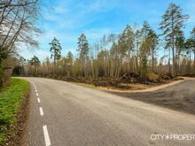 Hiierahu avarad metsakrundid linnakärast eemal