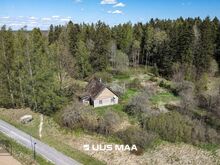 Hoonestatud kinnistu metsatuka serval