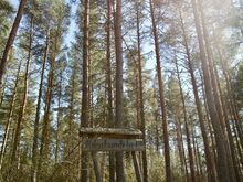Metsahundi — ranniku varjatud pärl