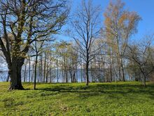 Mereäärne kinnistu