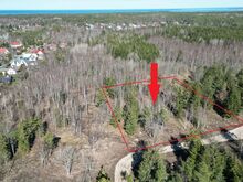 Privaatne kinnistu männi-kuusemetsaga