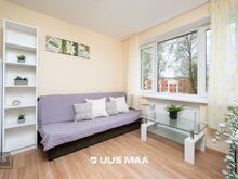 Uus pakkumine Pelgulinnas! Hoovipoolsete akendega 2-toaline.