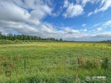 Müüa 24 801 m2 suurune kinnistu Valtu külas, Rapla vallas
