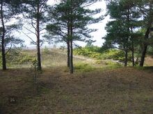 Vahetult Lahepere lahe kaldal asuv 4678 m² kinnistu