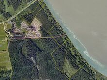 Metsakinnistu veekogu ääres Viljandi vallas