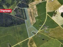 10 ha suurune kinnistu Tartu lähedal!