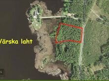 Imeilus männimets Pihkva järve kaldal.