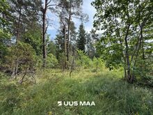 Elamumaa Vasalemma looduskaunis elukeskkonnas