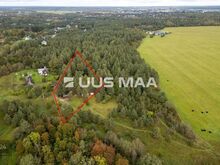 Ehitusõigusega suur (5332 m2) kinnistu!