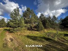Müüa kena männimetsaga kinnistu suvila ehituseks! Vesi+ elekter