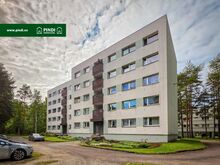 mõnus männimetsaline väikelinn