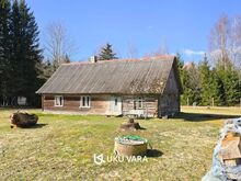 1 ha privaatne kinnistu Suure-Jaanist 2,4 km- elekter, salvkaev