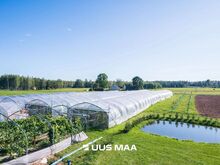 EESTI SUURIM MAHE VIINAMARJAISTANDUS