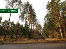 Vaikne elukoht Vahtrepas!