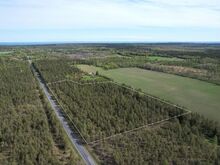 Männimetsaga maa! Võimalus osta 44113m² juurde