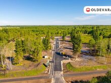 Päikesekivi: Elu looduse ja melu vahel