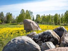 SUUR KINNISTU EHITUSÕIGUSEGA!