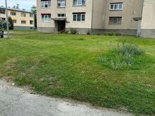 Korter kesklinnas