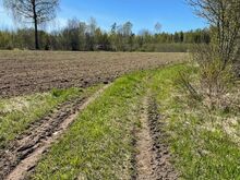 Metsade ja põldude vahel endine talukoht!