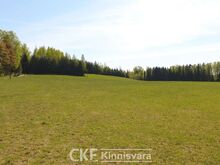 RELJEEFNE KÕRGHALJASTUSEGA  KINNISTU 2,17 HA! ALAJAAM!