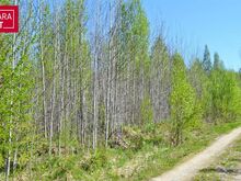 Müügiks on pakkuda elamu ehitamiseks sobiv metsaga kaetud maatükk Vikipalu külas Aavoja tee algu