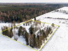 SUUR METSAÄÄRNE KINNISTU TARTUMAAL