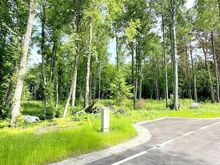 Kõrghaljastusega kinnistud mere läheduses