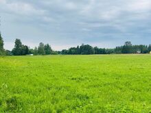 KUUSEKÄBI kinnistu 3431 m2!