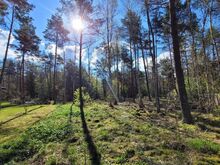 EHITUSÕIGUSEGA KINNISTU