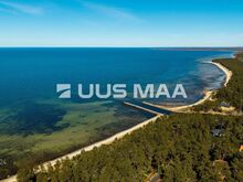 Männimetsad, rand ja kvaliteetne elukeskkond