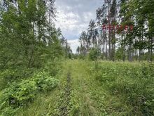 Peipsi järveni 400m!