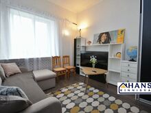 ANDA ÜÜRILE RENOVEERITUD 1-TOALINE KORTER