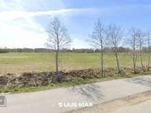 MÜÜA KINNISTU SAUE VALLAS, ALLIKU KÜLAS