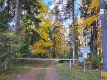 Privaatne suvilakompleks järvede ja metsade keskel Tartust 30km